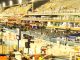 ABERTURA DO CARNAVAL 2019 NO RIO, NA…