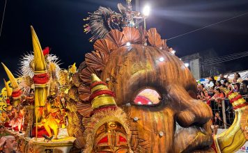 Renascer de Jacarepaguá faz desfile e mostra força dos quesitos…
