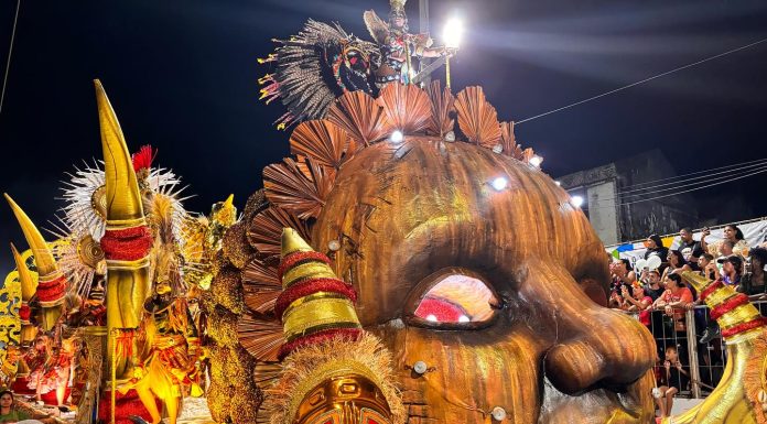 Renascer de Jacarepaguá faz desfile e mostra força dos quesitos…